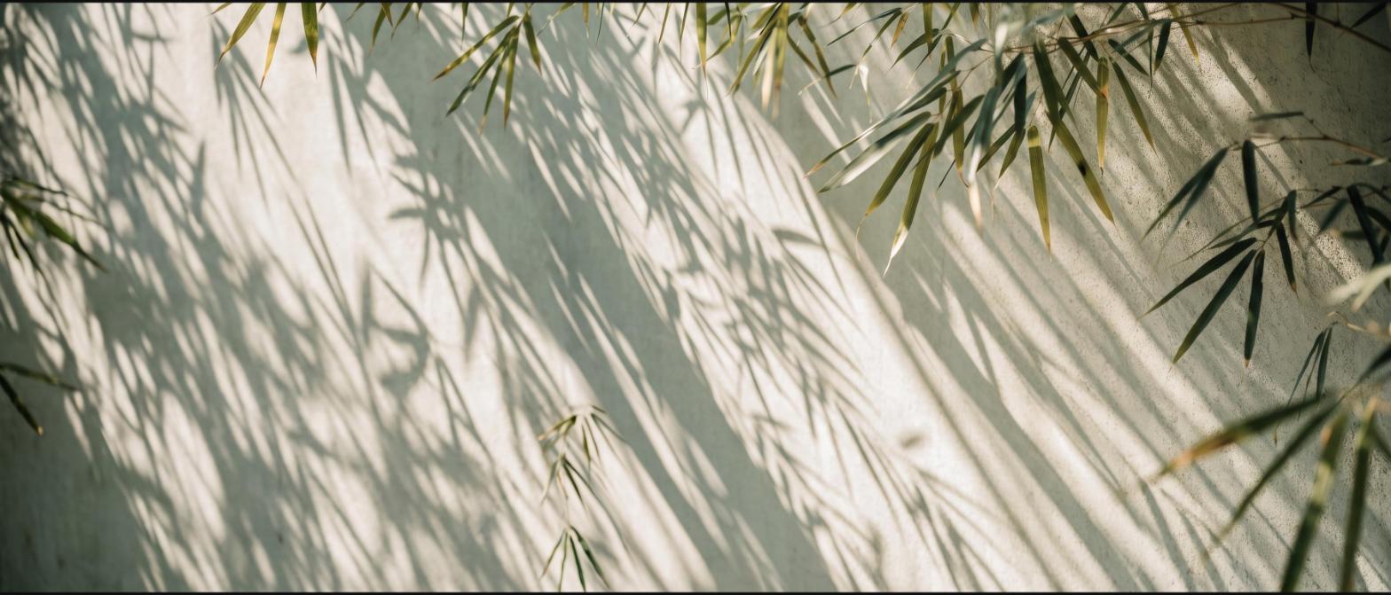 Dappled light through bamboo leaves falling across a pale concrete wall